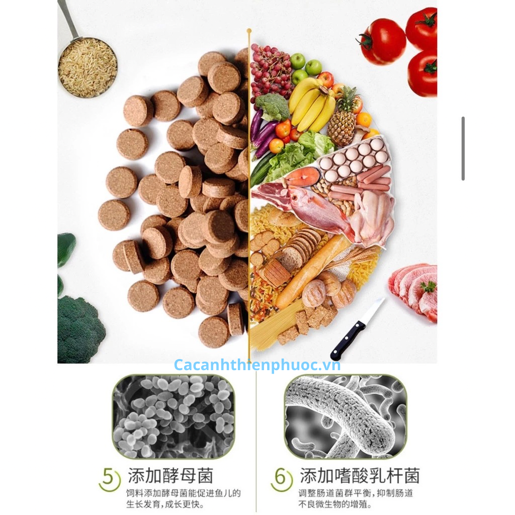 Biozym Thức Ăn Dán Cho Cá Cảnh- Thức Ăn Cá- Cá Cảnh Thiên Phước