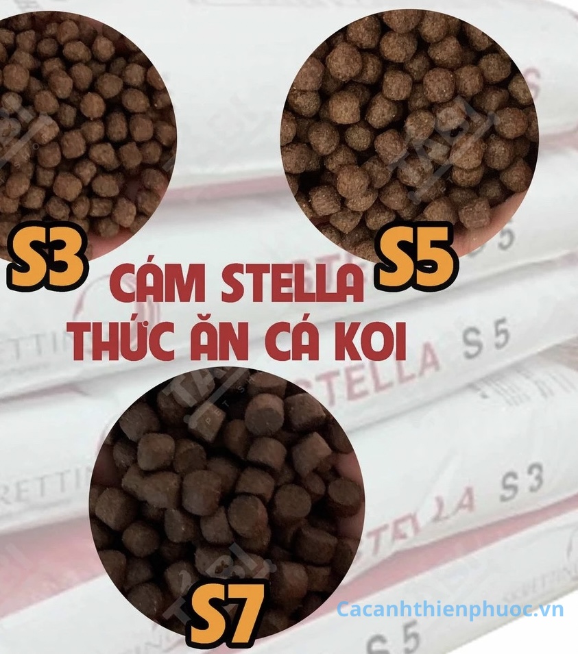 Stella Thức Ăn Cao Cấp Cho Cá Koi- Thức Ăn Cá- Cá Cảnh Thiên Phước