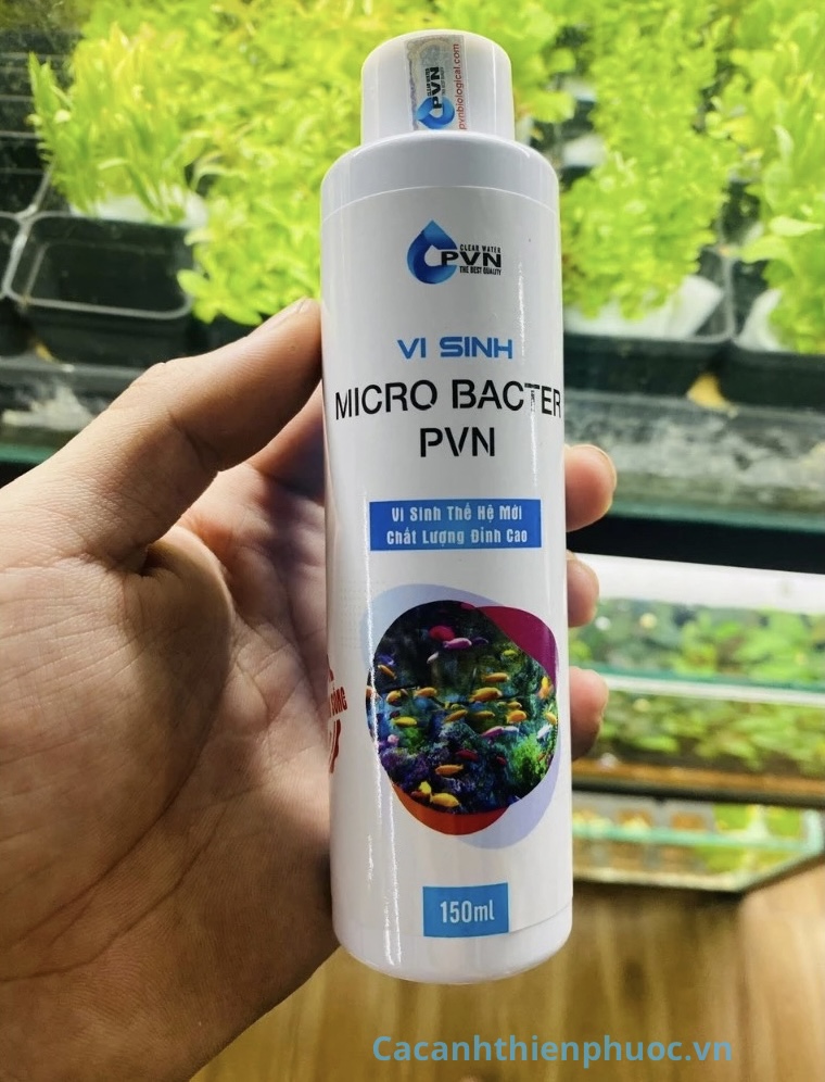 Pvn Vi Sinh Nước , Tẩy Cặn Canxi Cho Hồ Thủy Sinh- Vi Sinh Sống- Cá Cảnh Thiên Phước