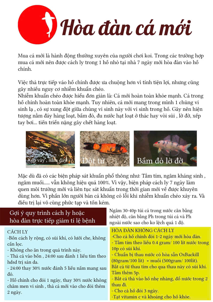 Kmno4 Thuốc Tím Tinh Khiết Trị Bệnh Sán Da, Sán Mang Khử Trùng Sát Khuẩn Hồ Cá Koi 100Gr- Cá Cảnh Thiên Phước