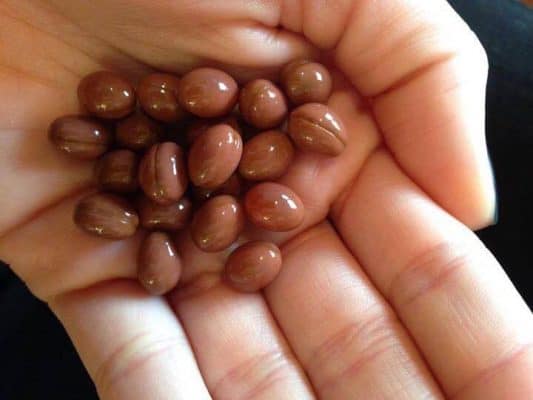 Viên uống ngăn ngừa rụng tóc Phyto Phanere, Hộp 120 viên