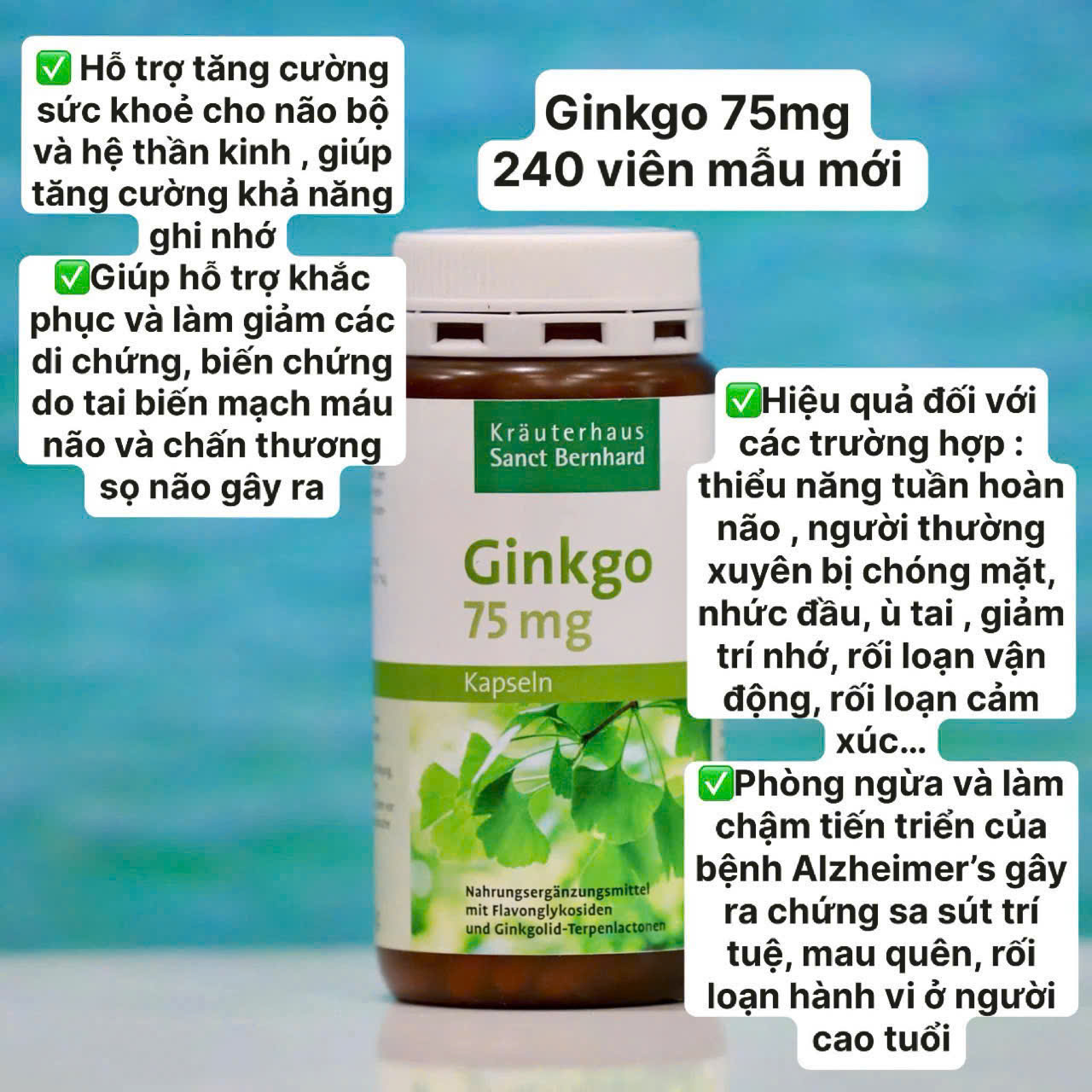 Viên Uống Bổ Não Ginkgo 75mg Kräuterhaus Sanct Bernhard – Hỗ Trợ Trí Nhớ, Tuần Hoàn Não Số 1 Tại Đức
