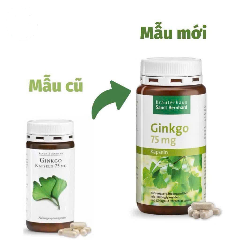 Viên Uống Bổ Não Ginkgo 75mg Kräuterhaus Sanct Bernhard – Hỗ Trợ Trí Nhớ, Tuần Hoàn Não Số 1 Tại Đức