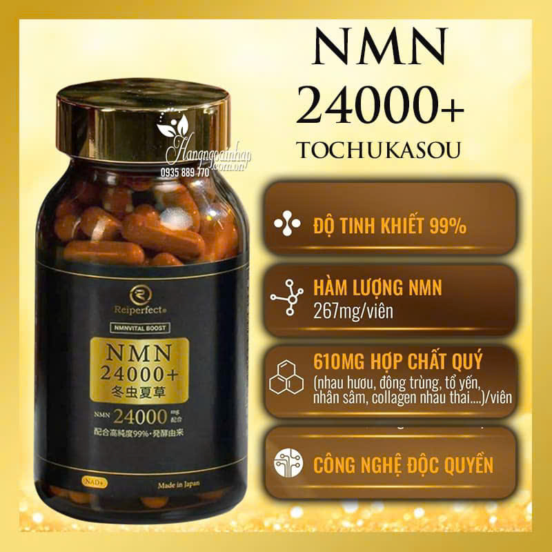 𝐕𝐢𝐞̂𝐧 𝐮𝐨̂́𝐧𝐠 𝐍𝐌𝐍 𝟐𝟒𝟎𝟎𝟎 – 𝐇𝐨̂̃ 𝐭𝐫𝐨̛̣ 𝐜𝐡𝐨̂́𝐧𝐠 𝐥𝐚̃𝐨 𝐡𝐨́𝐚, 𝐭𝐚̆𝐧𝐠 𝐬𝐢𝐧𝐡 𝐧𝐚̆𝐧𝐠 𝐥𝐮̛𝐨̛̣𝐧𝐠 𝐭𝐞̂́ 𝐛𝐚̀𝐨