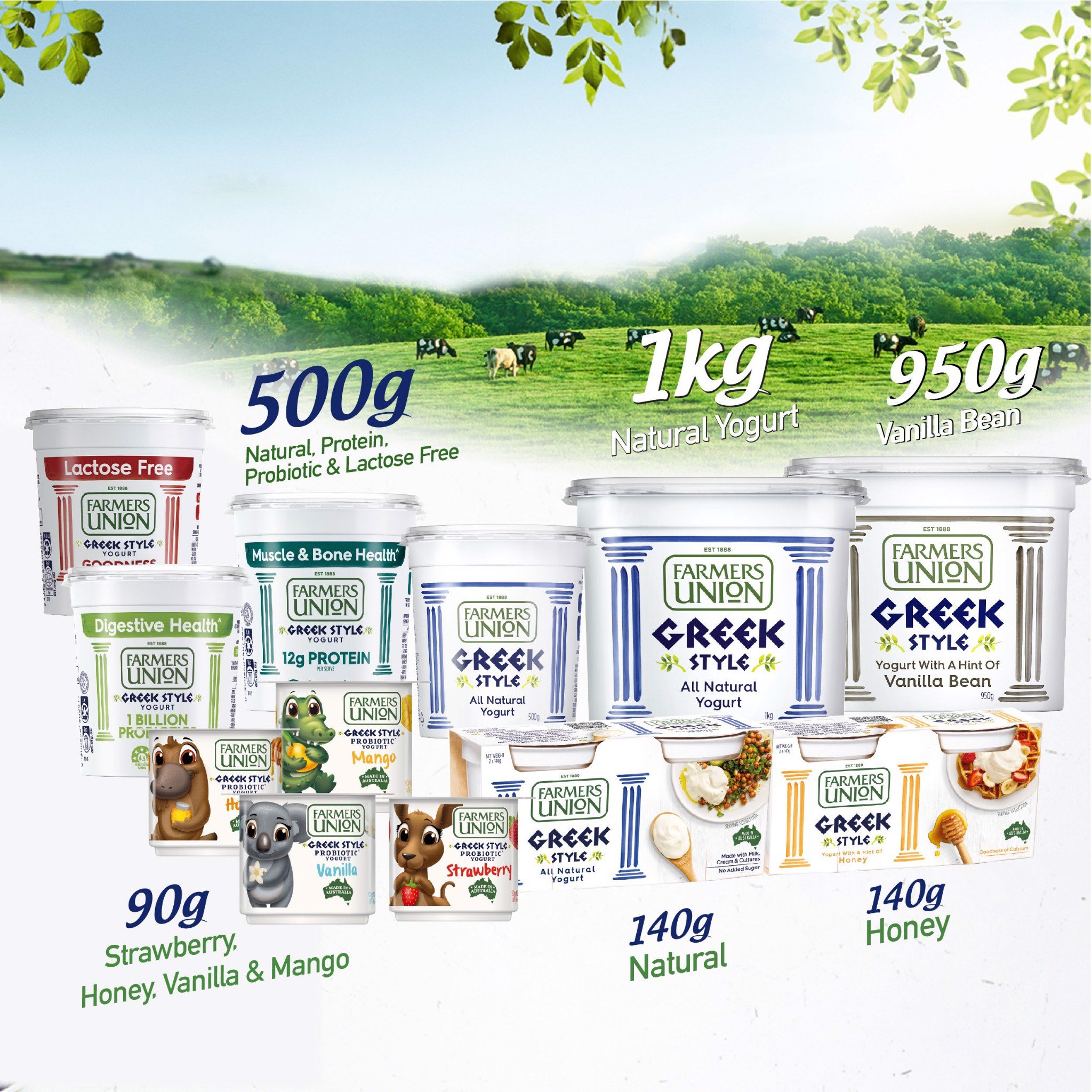 Thực phẩm Healthy