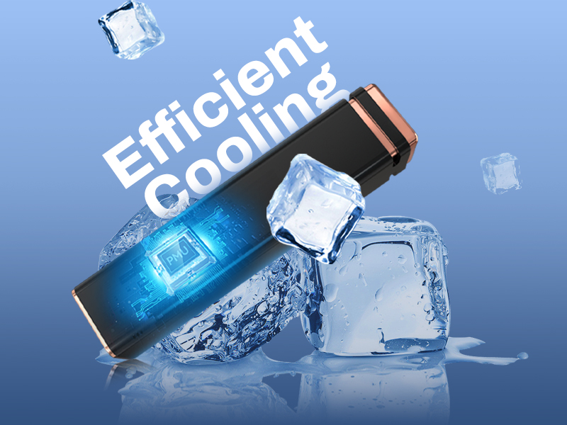 ổ cứng ssd di động biwin pd2000 usb type-c làm mát hiệu quả