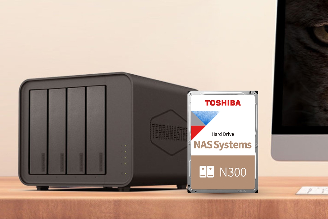 combo das terramaster d4-320 kèm ổ cứng toshiba n300 6tb