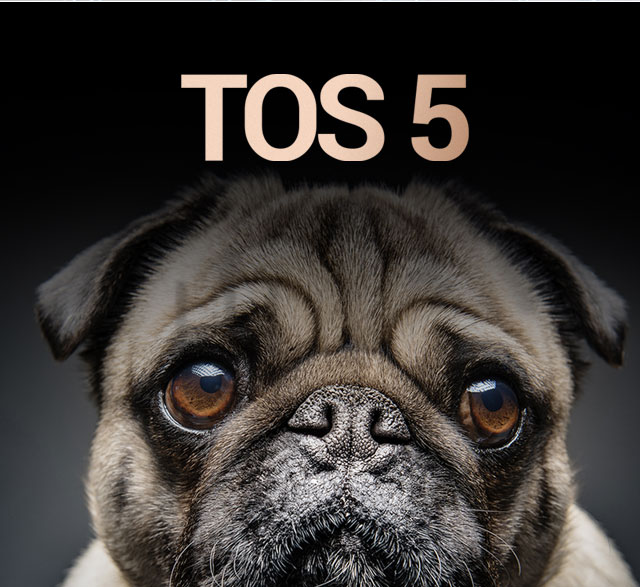 hệ điều hành nas terramaster tos 5