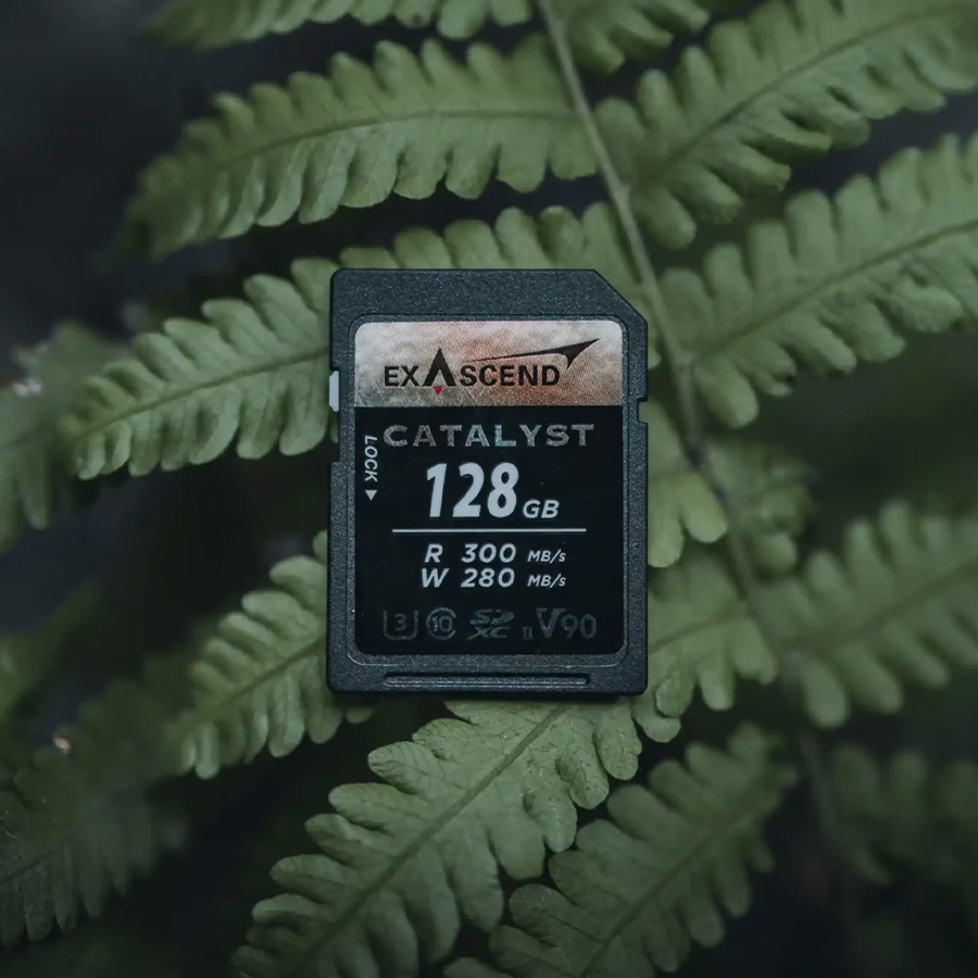 thẻ nhớ exascend catalyst uhs-ii v90