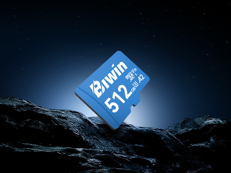 thẻ nhớ microsd biwin ms210