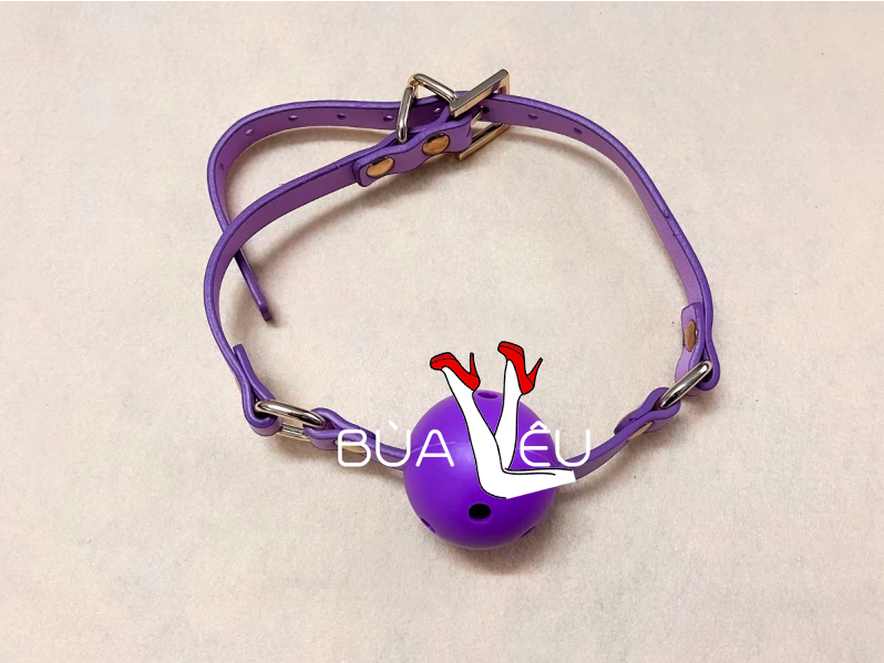 Bộ đồ chơi bạo dâm 9 món SM màu tím quyến rũ