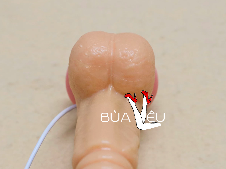 Dương vật giả có đế Excited rung thụt pin sạc