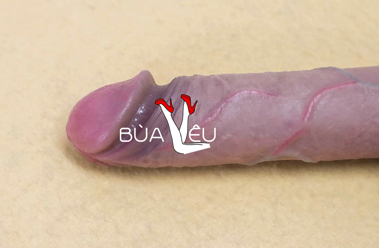 Dương vật giả có đế Lovetoy Nature Cock không rung
