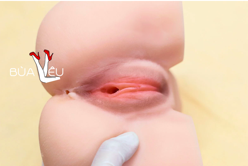 Âm đạo giả chổng mông cao cấp