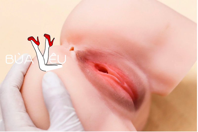 Âm đạo giả chổng mông cao cấp