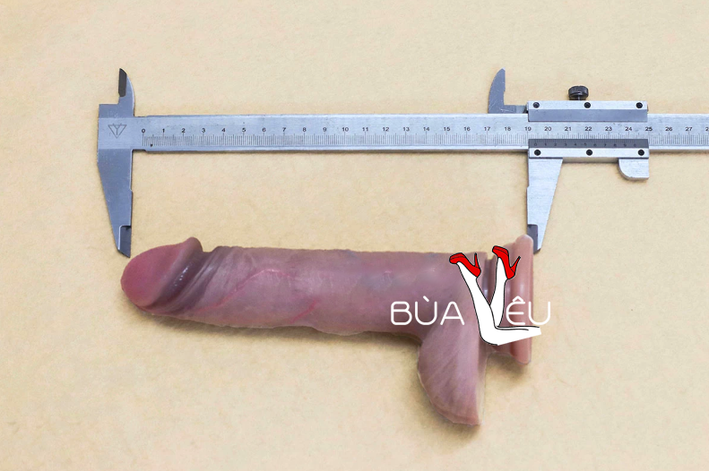 Dương vật giả có đế Lovetoy Nature Cock không rung