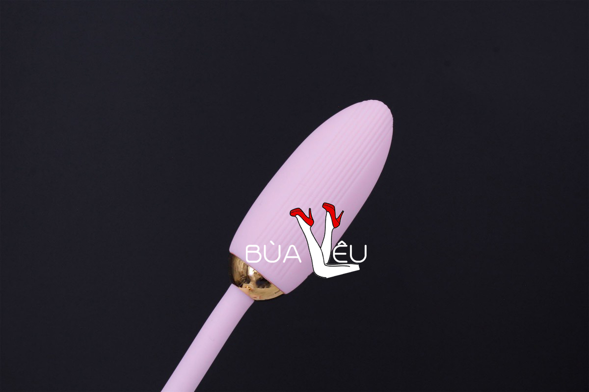 Trứng rung 2 đầu Ankni điều khiển từ xa