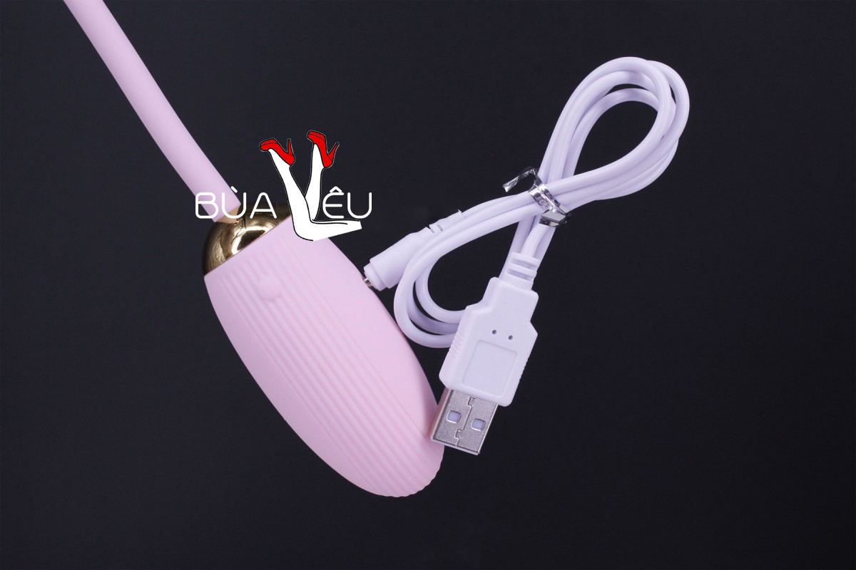 Trứng rung 2 đầu Ankni điều khiển từ xa