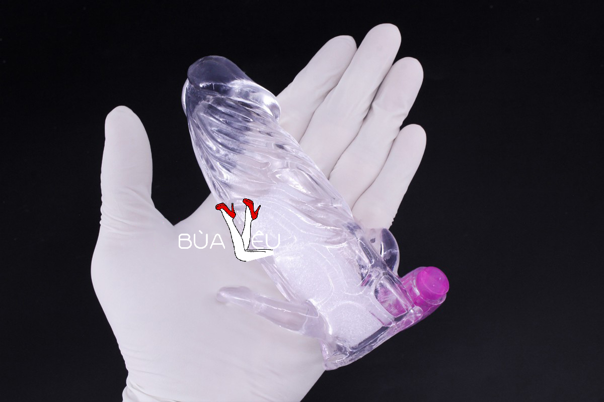 Bao đôn dên Penis rung gốc