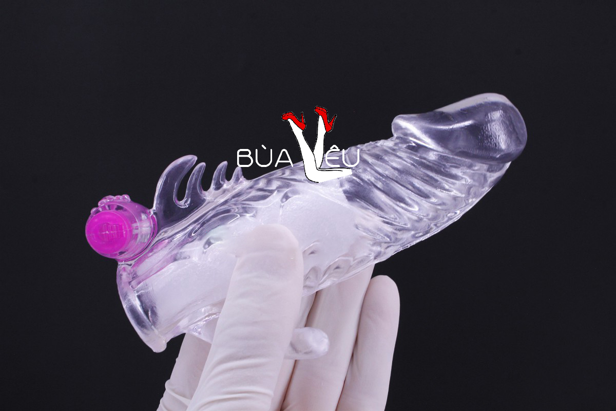 Bao đôn dên Penis rung gốc