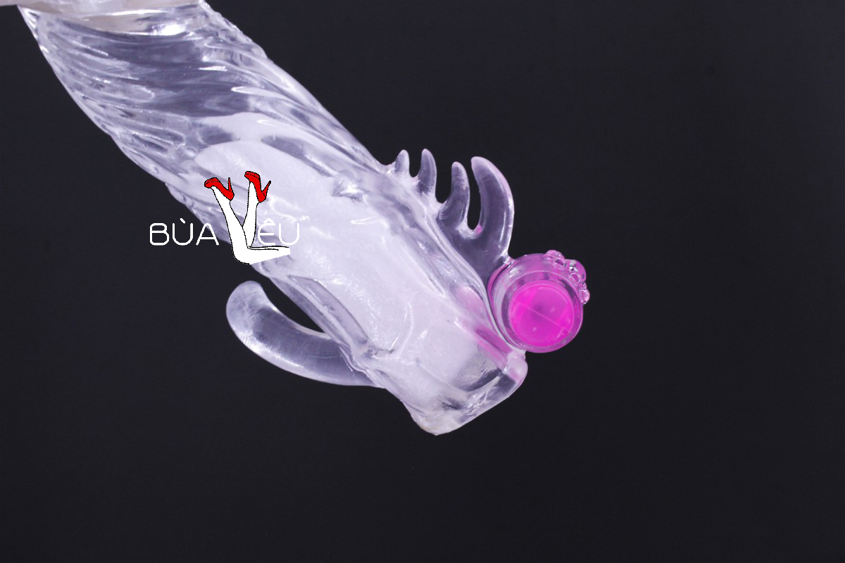 Bao đôn dên Penis rung gốc