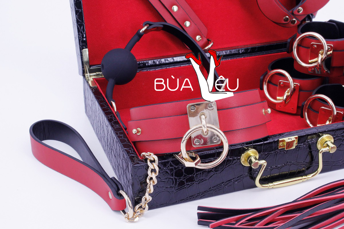 Đồ chơi bạo dâm VIP 8 món có hộp