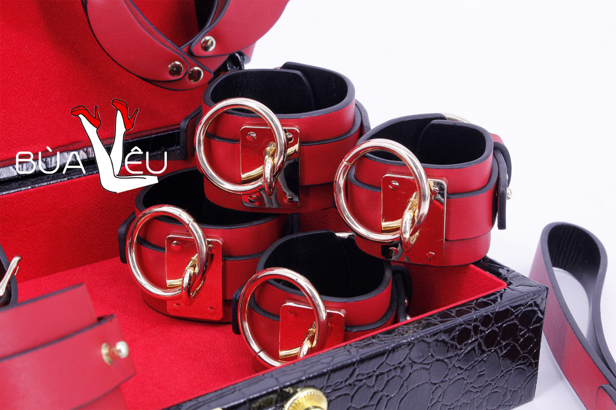 Đồ chơi bạo dâm VIP 8 món có hộp