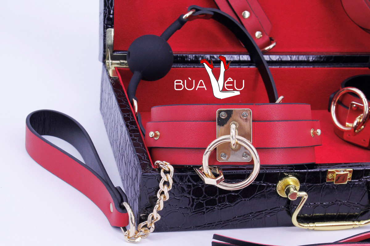 Đồ chơi bạo dâm VIP 8 món có hộp