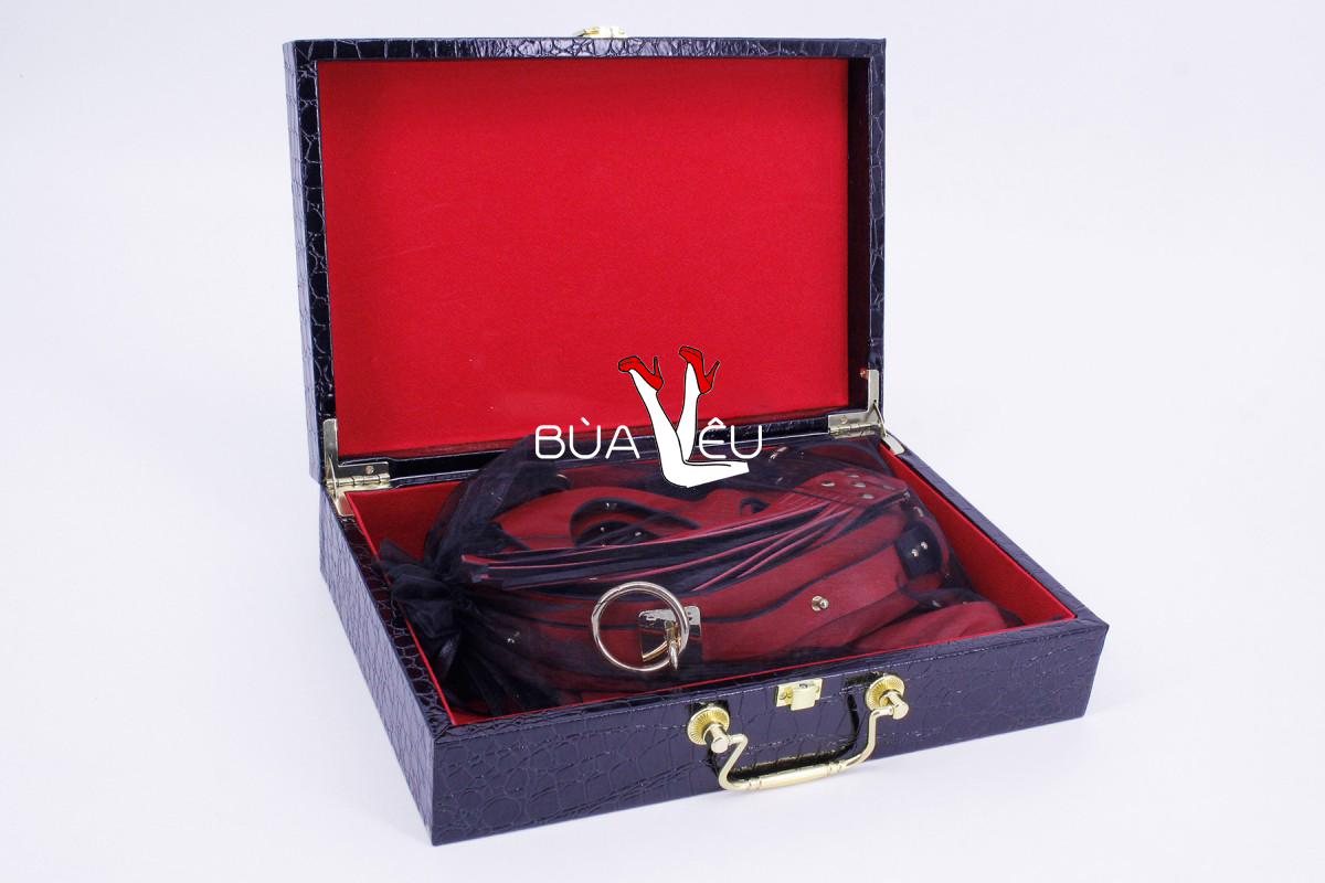 Đồ chơi bạo dâm VIP 8 món có hộp