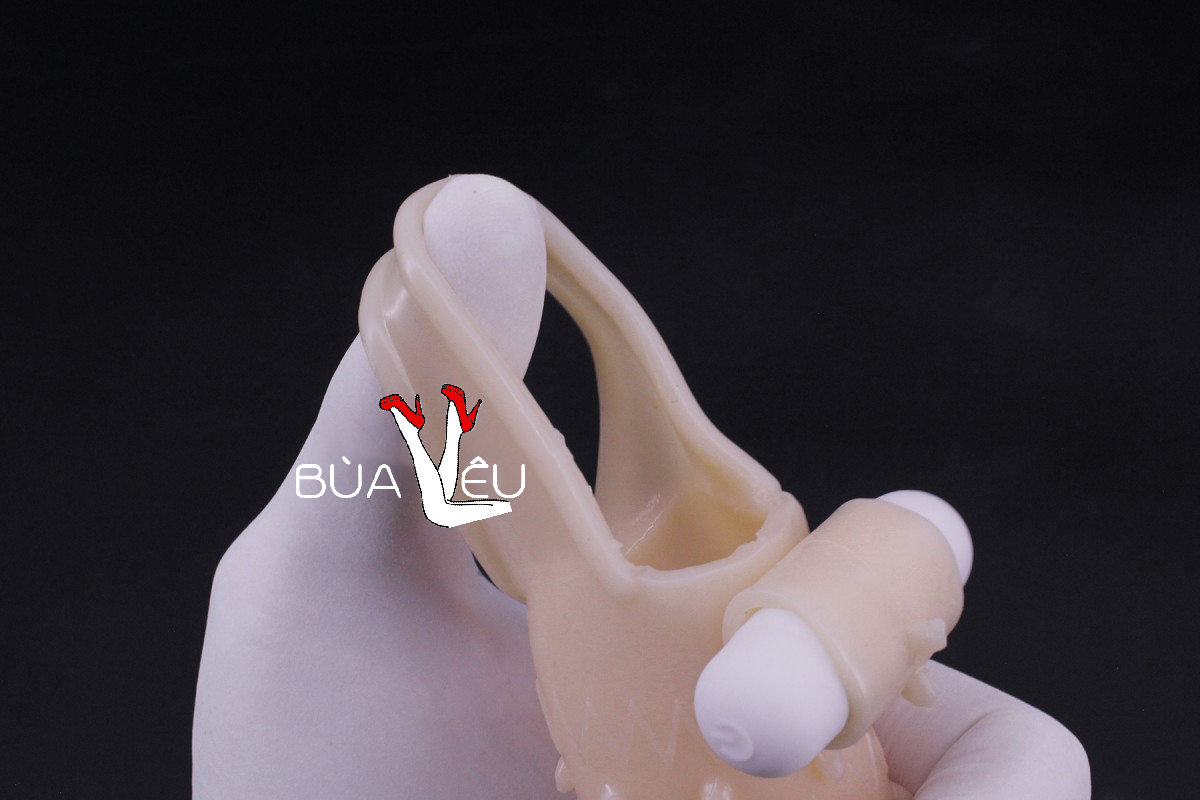 Bcs đôn dên Se_niuniu gai bi đầu rung gốc