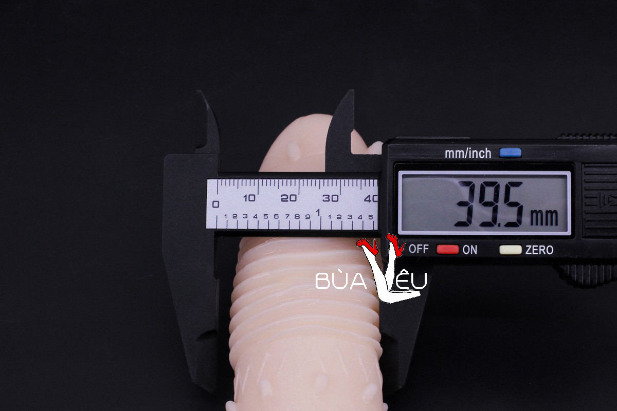 Bcs đôn dên Se_niuniu gai bi đầu rung gốc