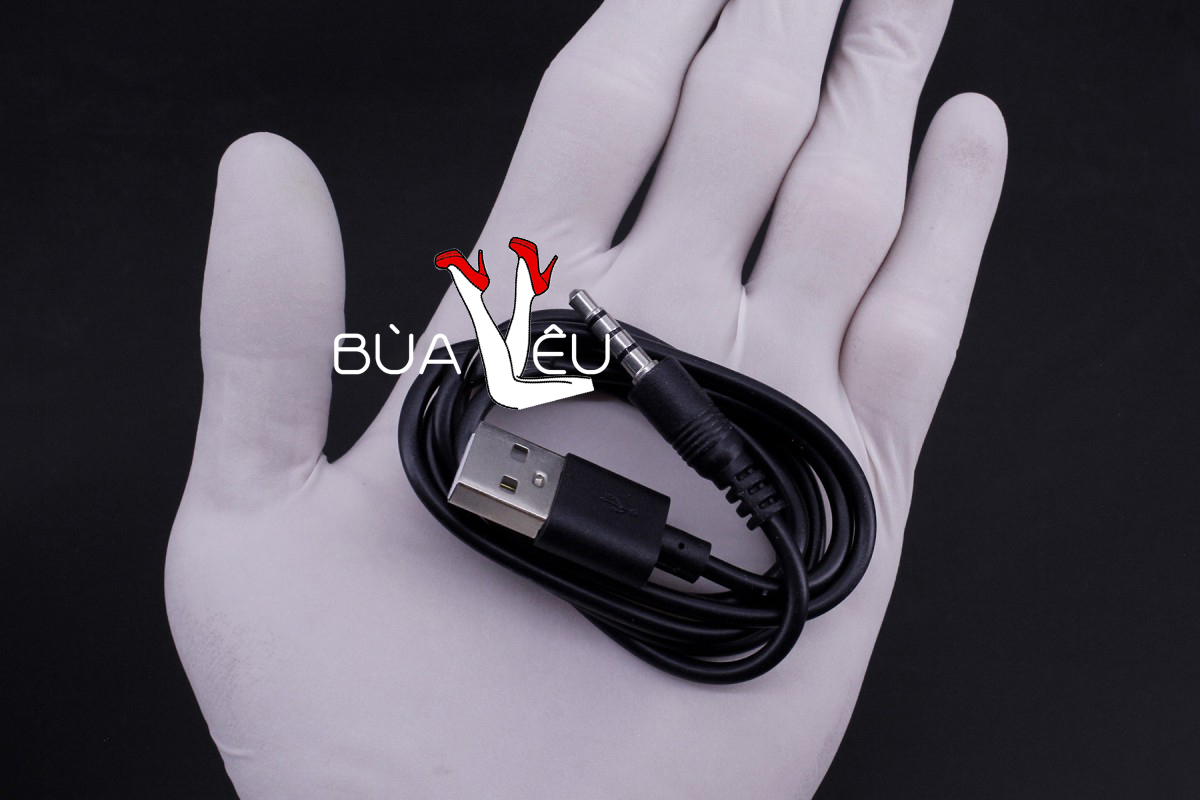 Âm đạo giả Svakom Robin pin sạc chính hãng Us