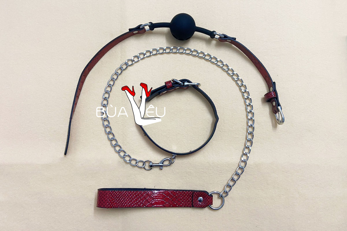 Bộ Bạo Dâm 10 Món Vân Da Màu Đỏ Nồng Cháy