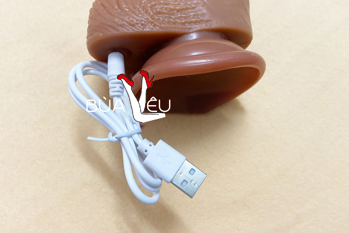 Dương vật giả 2 đầu rung ngoáy điều khiển từ xa