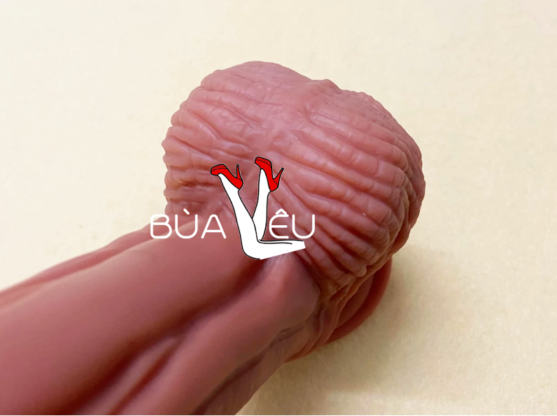 Dương vật giả gân guốc cỡ trung có đế