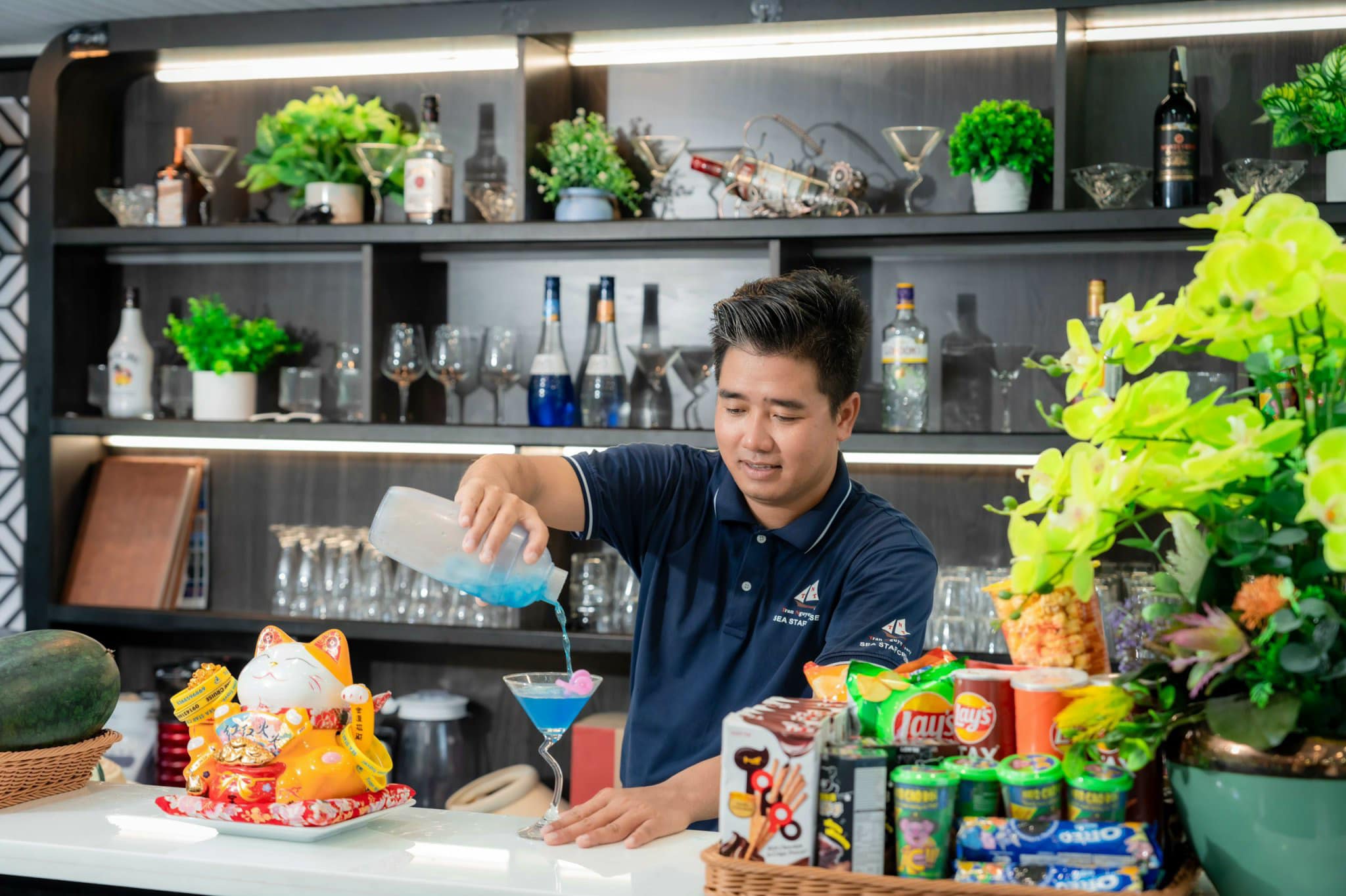 Tour Nửa Ngày Ngắm Hoàng Hôn - Du Thuyền SEA STAR - Vịnh Lan Hạ