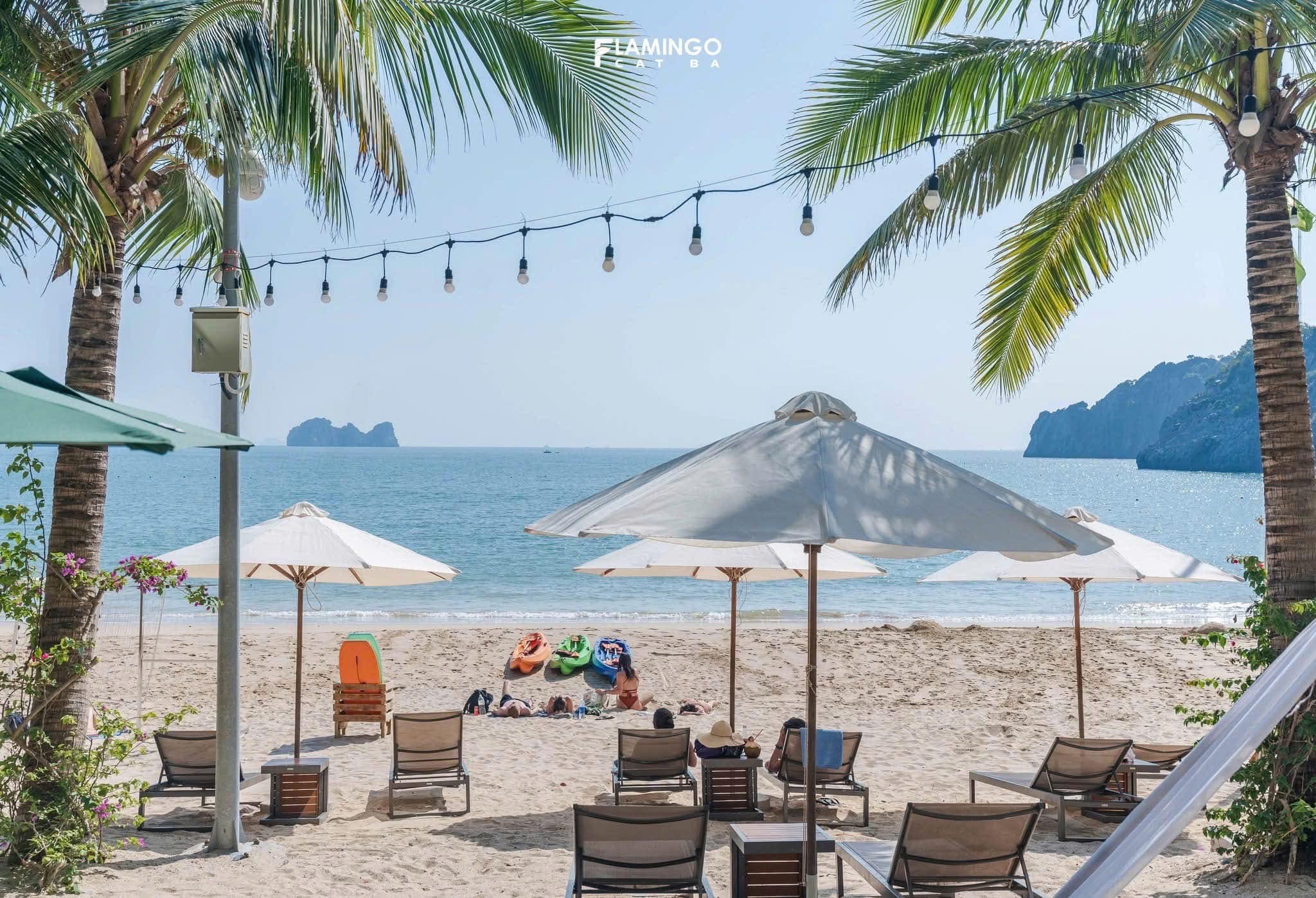 Flamingo Cát Bà - GÓI 2 BỮA ONSEN | FLASH SALE đến 29/04/2025