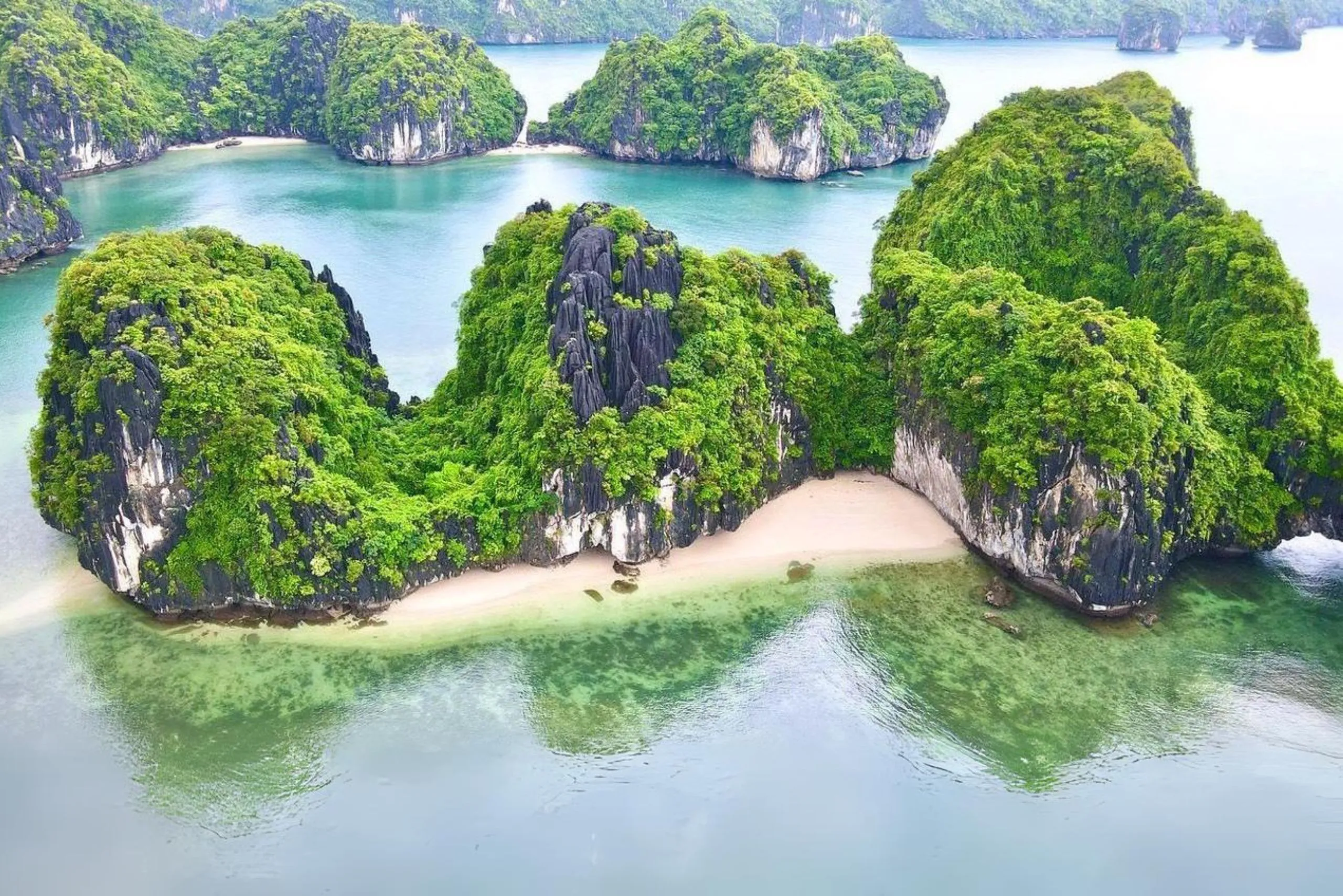 Tour 1 Ngày Vịnh Lan Hạ - Du Thuyền DAIICHI CRUISE (Không đi làng Việt Hải)