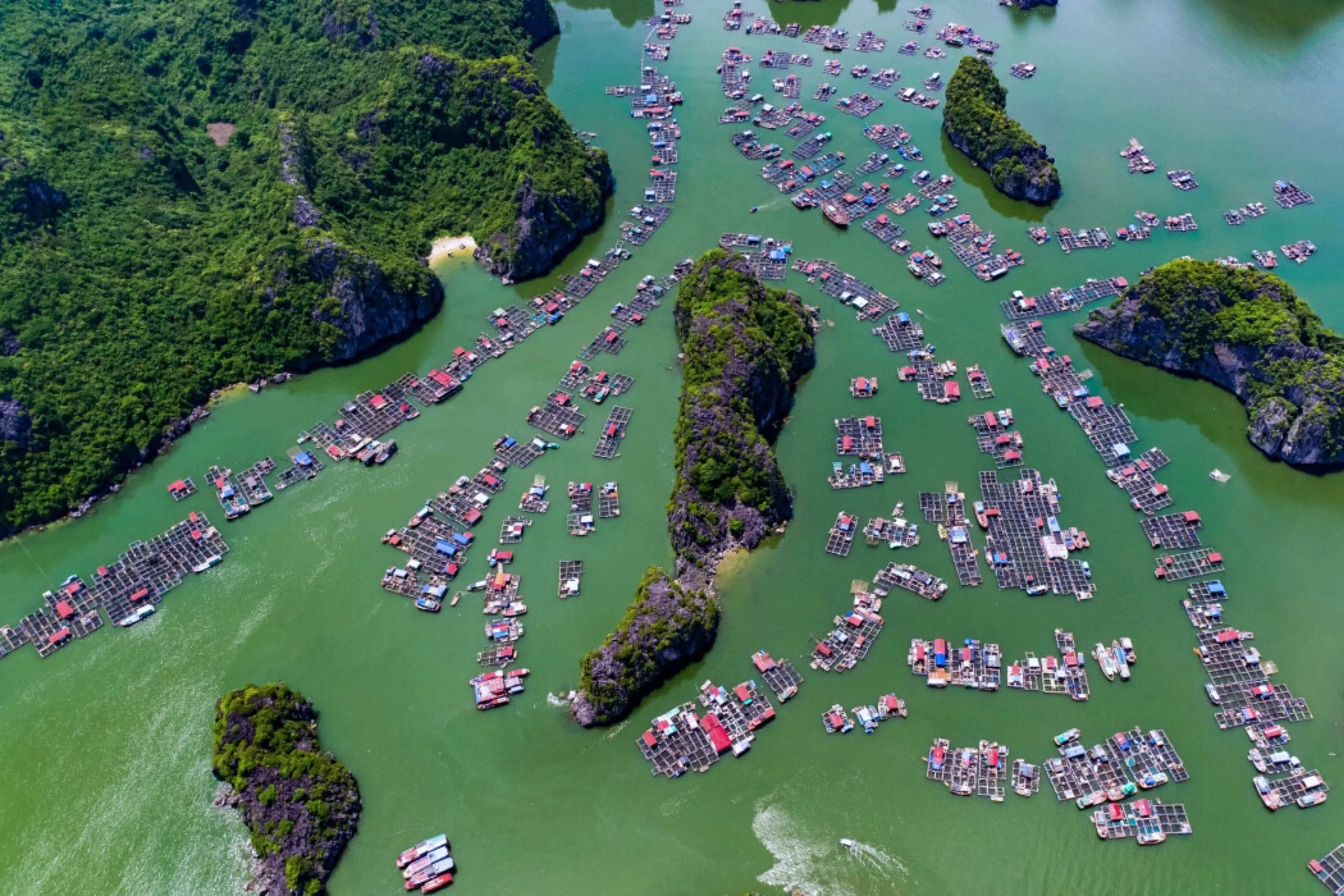 Tour Nửa Ngày Ngắm Hoàng Hôn - Du Thuyền DAIICHI CRUISE - Vịnh Lan Hạ