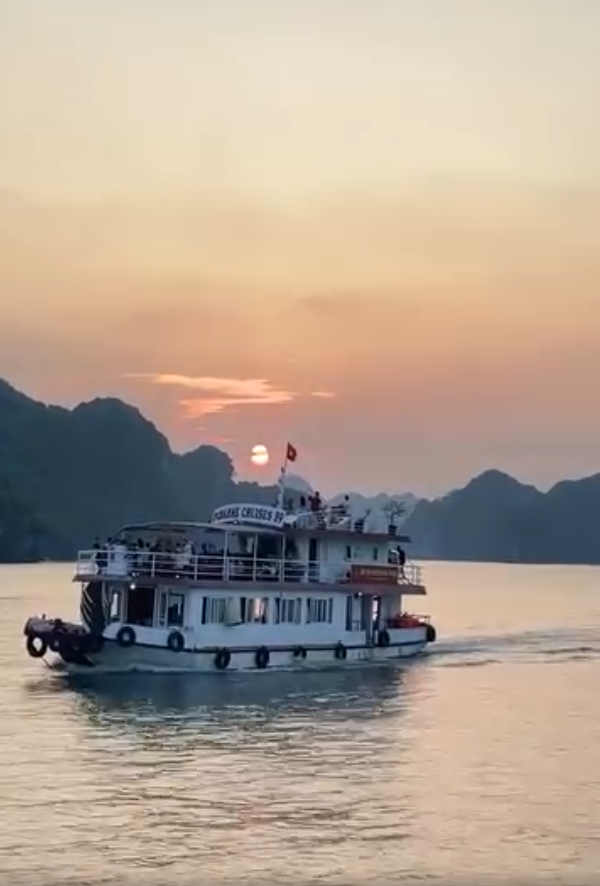 Tour Nửa Ngày Ngắm Hoàng Hôn - Du Thuyền PANORAMA - Vịnh Lan Hạ
