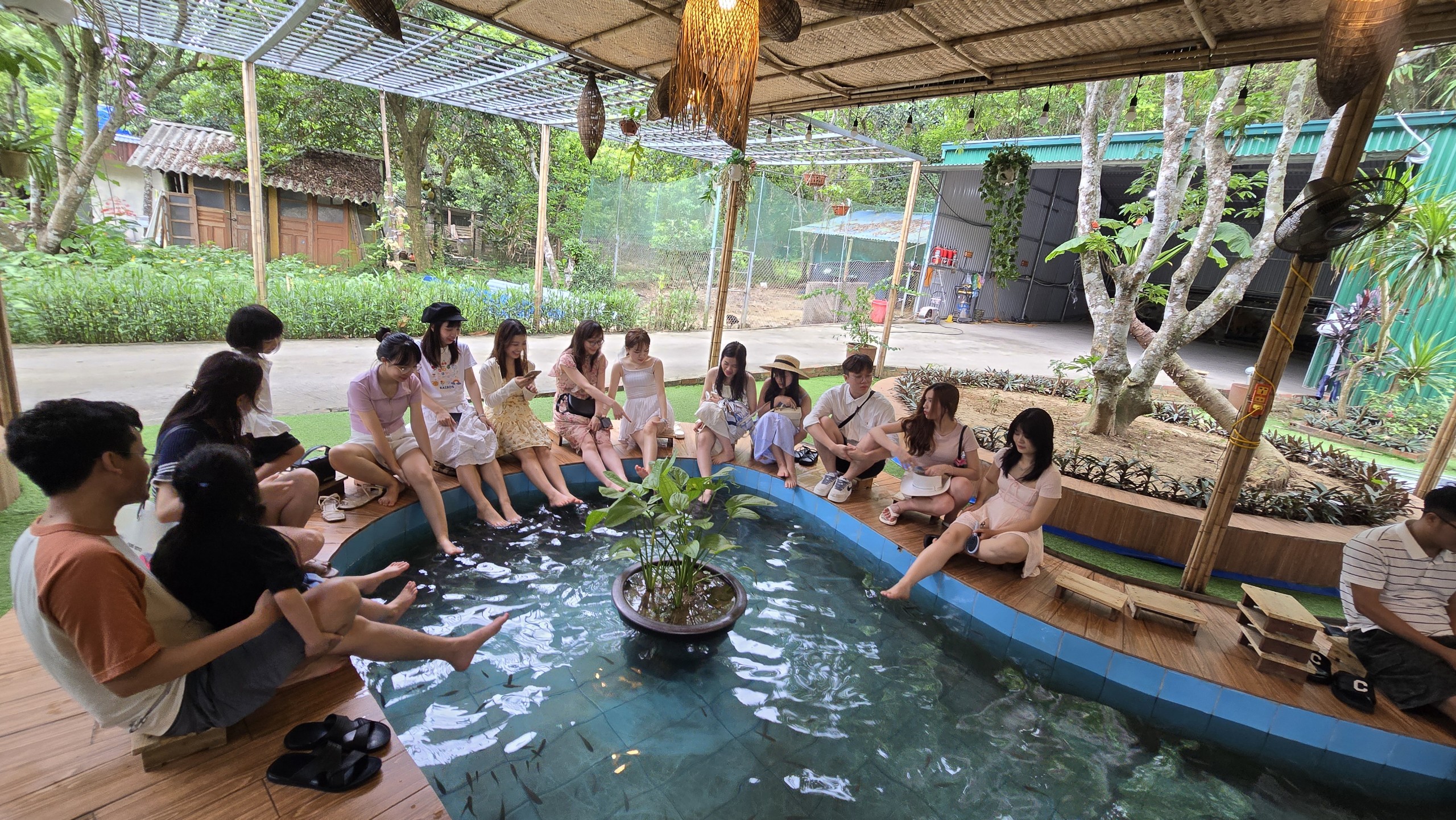 Tour 1 Ngày Vịnh Lan Hạ - Du Thuyền CÁT BÀ BAY CRUISE
