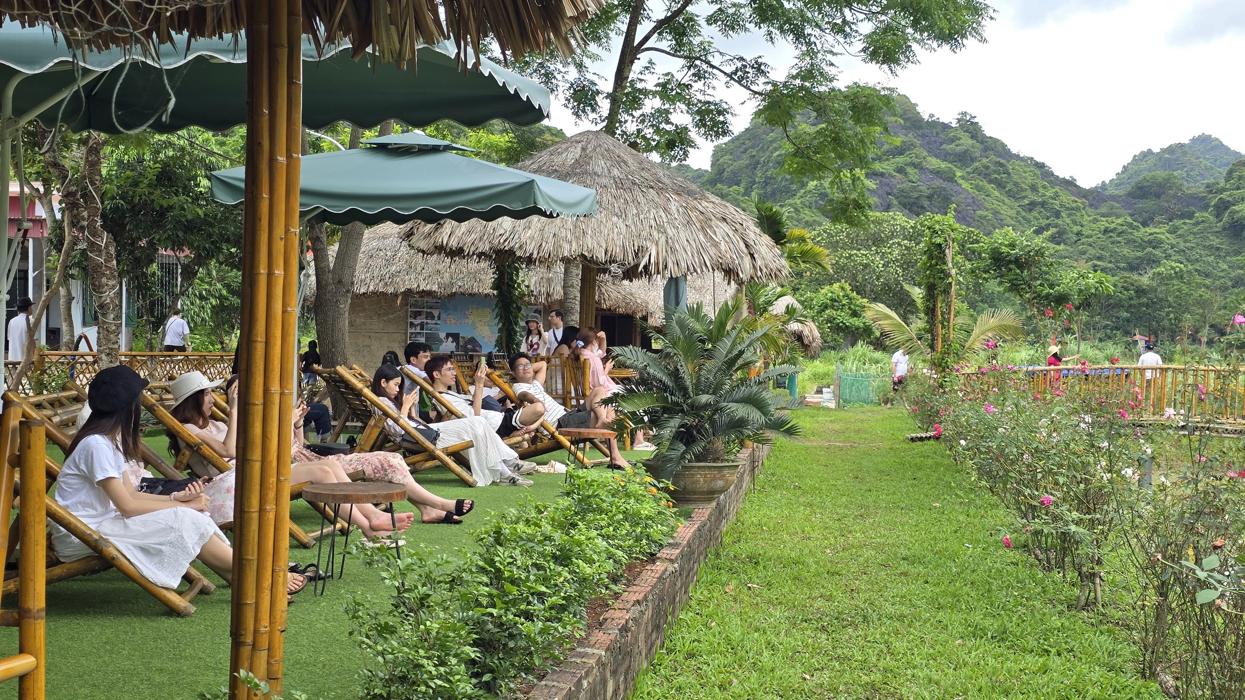 Tour 1 Ngày Vịnh Lan Hạ - Du Thuyền CÁT BÀ BAY CRUISE