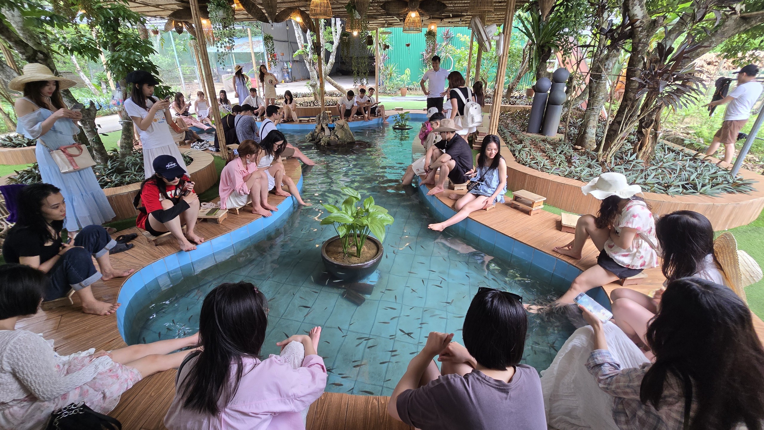 Tour 1 Ngày Vịnh Lan Hạ - Du Thuyền CÁT BÀ BAY CRUISE