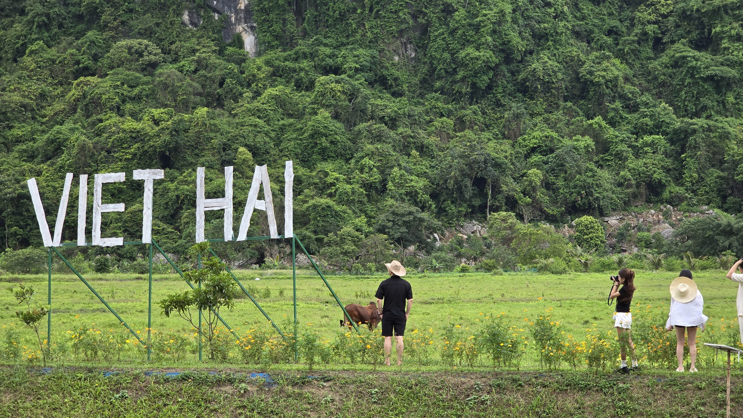 Tour 1 Ngày Vịnh Lan Hạ - Du Thuyền CÁT BÀ BAY CRUISE