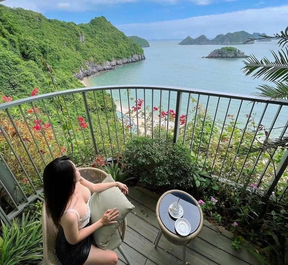 Flamingo Cát Bà - GÓI ĂN SÁNG giai đoạn Thấp Điểm