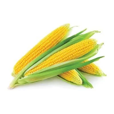 Ngô Ngọt Nguyên Bắp