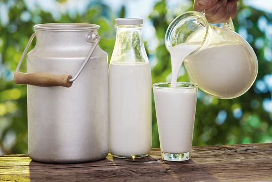 Ăn chay trường có uống sữa bò được không? Sự thật bạn cần biết