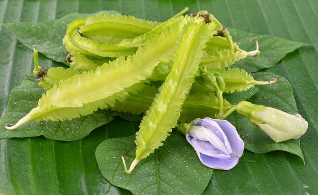 Đậu rồng làm món gì ngon? Gợi ý những công thức đơn giản mà hấp dẫn