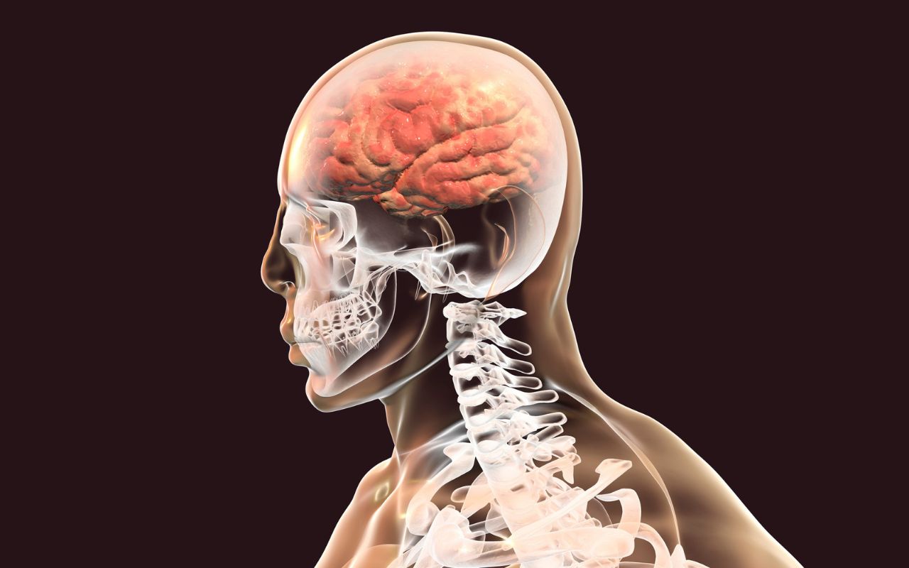 Viêm Màng Não Nên Ăn Gì? Thực Đơn Hỗ Trợ Phục Hồi Tốt Nhất