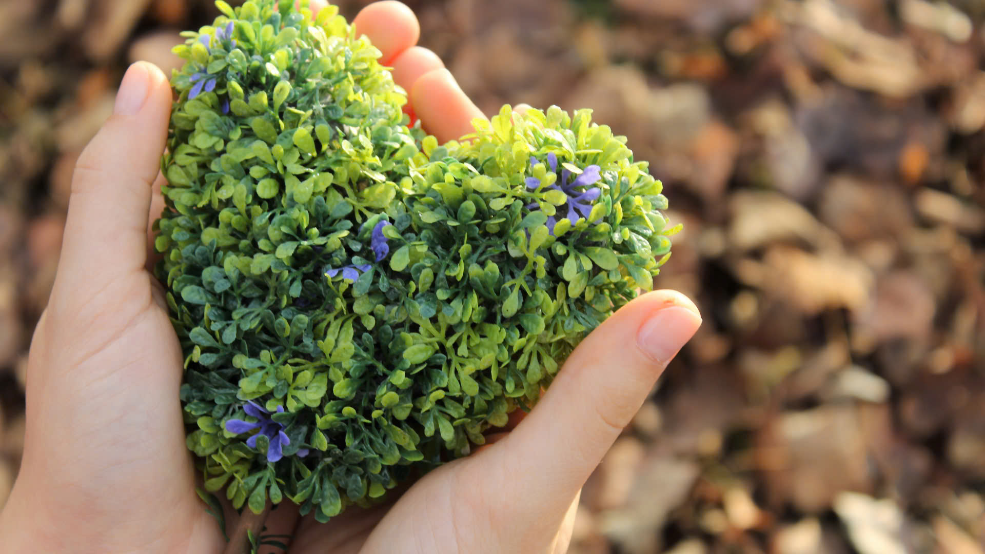 Các món ăn chay truyền thống - Văn hóa ẩm thực đặc sắc của người Việt Nam